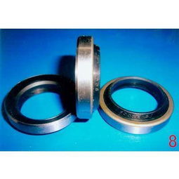 發(fā)動(dòng)機(jī)油封圖片,發(fā)動(dòng)機(jī)油封高清圖片 河北任縣鑫馳橡塑制品廠,